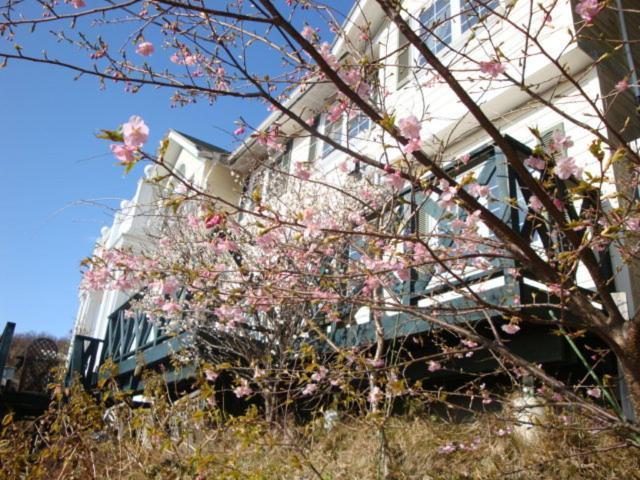 Liberty Hill Hotel Ito  Exterior foto